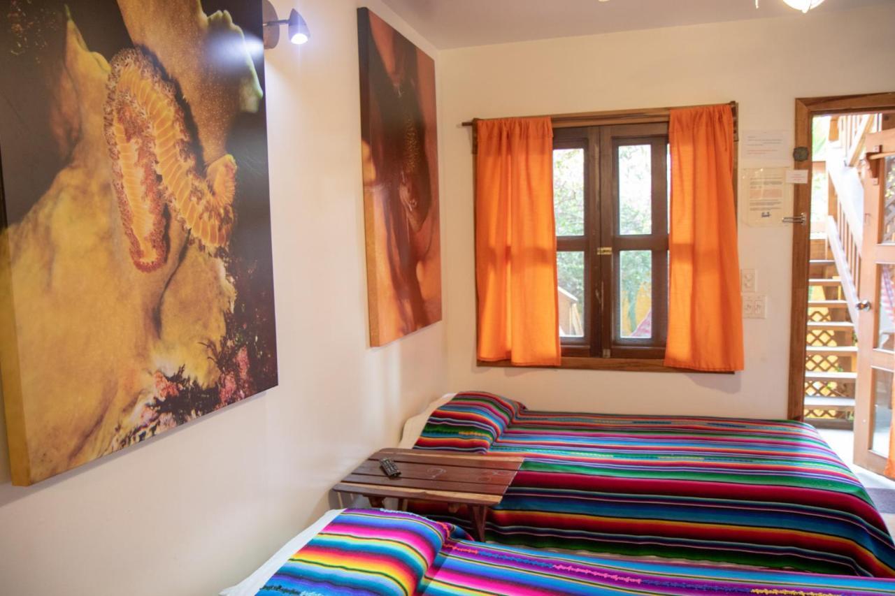 Seabreeze Inn West End Dış mekan fotoğraf