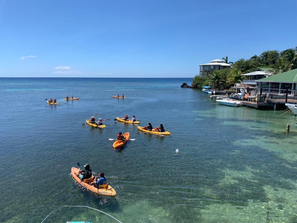Seabreeze Inn West End Dış mekan fotoğraf