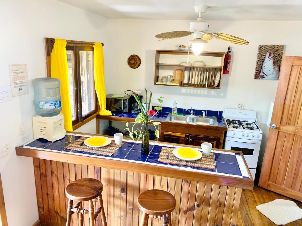 Seabreeze Inn West End Dış mekan fotoğraf